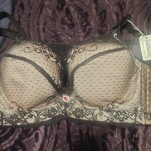 Fall Sweet padded push up lace bra 46D